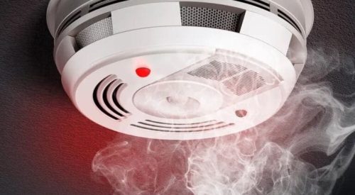 WhatsApp Image 2025-02-22 at 00.09.34_87a93ef6